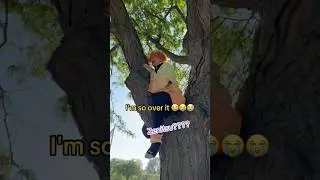 How to get Zenitsu out of a tree without using lightning #anime #demonslayer #zenitsu