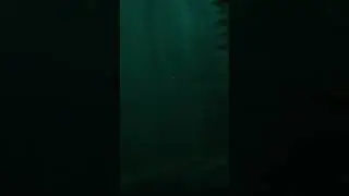 Dory is Lost in the Ocean Again And About To Forget Marlin and Nemo - Finding Dory Scene 70
