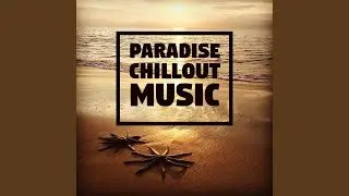 Chill Everyday