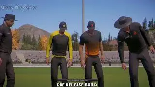 Режим карьеры в Cricket 26 &mdash; слитый предрелизный геймплей