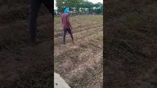 #farmingcommunity #tractor #nature