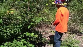 Nature Surfers Ecological Survey