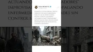 Cerdos urbanos com&iacute;an basura y cad&aacute;veres #edadmedia #medieval #civilizacionesantiguas