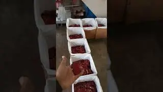 Final packing clips/less price/Shamshabad/8639121998,ADM.