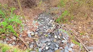 Blue Ridge Tunnel Trail, Virginia 4K
