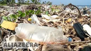 🇭🇳 Honduras rubbish: Eco-cides take over Caribbean coast | Al Jazeera English