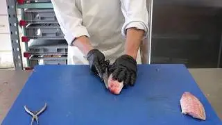 How to fillet a red mullet