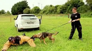 K9 Security Ireland National Training Centre - White Oak Events
