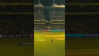 craze of thala💛 #mahi #msd #cricket #csk #fanbase #shorts