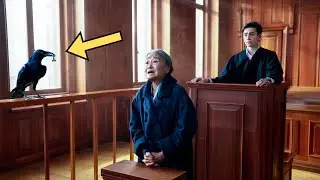 The parrot mimics the victim's last words and unmasks the GUILTY one in court...