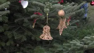 Mindenki kar&aacute;csonyf&aacute;ja Hirden &eacute;s Vasason - K&ouml;zpont - 2020.12.10.