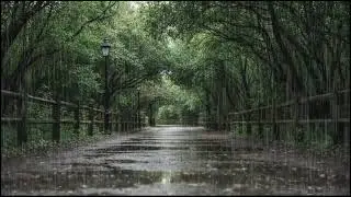 Relaxing Forest Rain at Dusk | Ambient Leaf and Rain Sounds to Help You Sleep Better Naturally