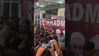 Pursa ❤️