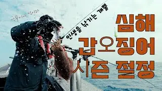 레전드로 말아먹을 뻔했는데...파란만장한 심해 갑오징어 출조! (아~ 이런 기분이구나....ㅎㅎ)