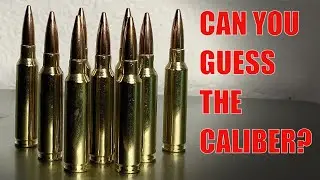Weekly Ammo Hunt: New Caliber Unboxing... Ammo Shortage Update!