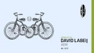 David Labeij - AEM - mobilee103