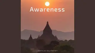 Awareness