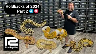 Holdbacks of 2024 - Part 2
