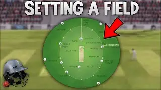 How to Set Custom Fields! - Tips & Tricks - Cricket Captain 2024