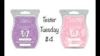 Tester Tuesday #4 - Cotton Candy Cookie & Strawberry 🍓 Swirl (Scentsy)