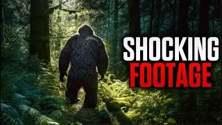 Mysterious Entities Caught on Trail Cam!