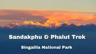 Sandakphu  Phalut adventure package || Wildtrek Holidays