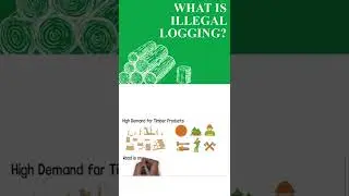WHAT CAUSES ILLEGAL LOGGING part 4