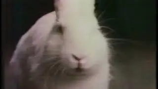 Cadbury's Cream Eggs Ad (1984)