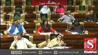 Shehryar Khan Mahar Speech About Sindh Education In Sindh Assembly