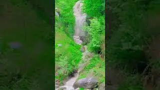 Green Shangla