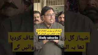 Shahbaz Gill ka Punjab ar KPK may elections pe inkshaf