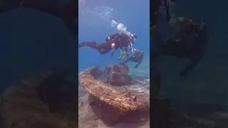 Advanced Scuba Courses are sometimes too rushed for new divers 🤿✅ #scubadiving