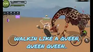 Wild Animals Online | Walkin like a boss
