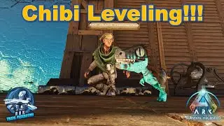 Level your Chibi up fast!!!