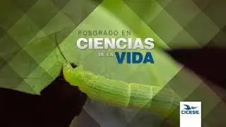 Posgrado en Ciencias de la Vida - CICESE