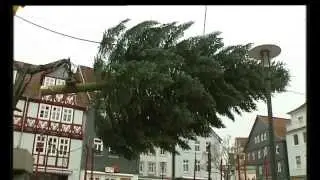 Ein Weihnachtsbaum geht auf die Reise in Bad Hersfeld