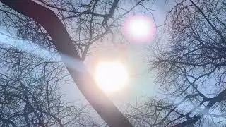 The nature film part 4(official short film)