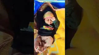 Tu meri jaan hai tu meri dhadkan💓😍#cute #ytshorts #beti #family #trending #shorts #cutebaby #viral