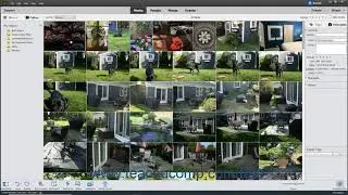 Photoshop Elements 2020 Tutorial Managing Files in the Organizer Adobe Training