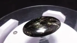Bulu Macan Africa (golden seraphinite)