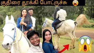 HORSE RIDE