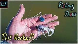 Fishing DIRTY WATER for PRESPAWN BASS.
