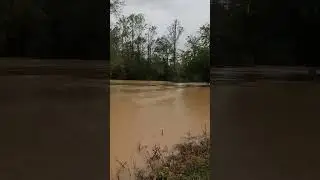 Small Stream in Etowah Flooded . Hurricane Helene 2024- disaster