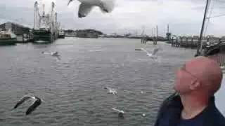 Bontekoe Waddenweken deel 1.