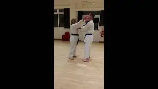 Self defence techniques (Goshindo Kumite)