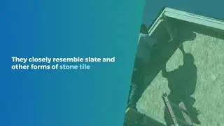 Roof Replacement - Platinum Contractors