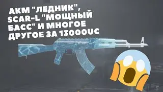 Выбил Scar-L Мощный Басс, Mini-14 Сосулька и АКМ Ледник за копейки!