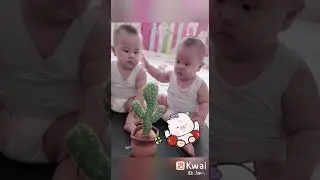 cute baby cactus scared video &hearts;️🌹😘🙏