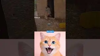 Funny Moments Whit Beggar 🤣😱 #funny #dance #cat #shorts