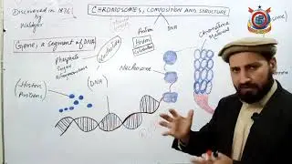 Class 10th Biology Lecture 41  Topic; Chromosomes, Composition and Structure